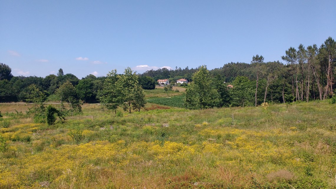 img_20180708_164350135