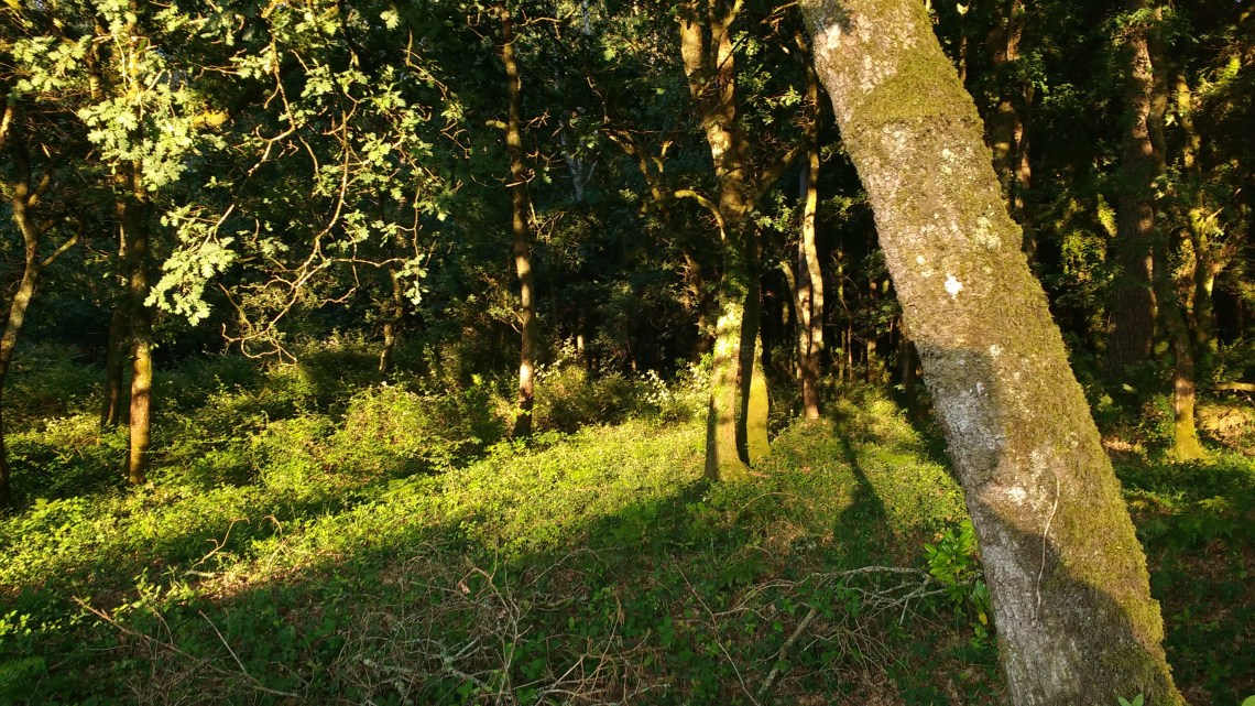 img_20180709_080004038