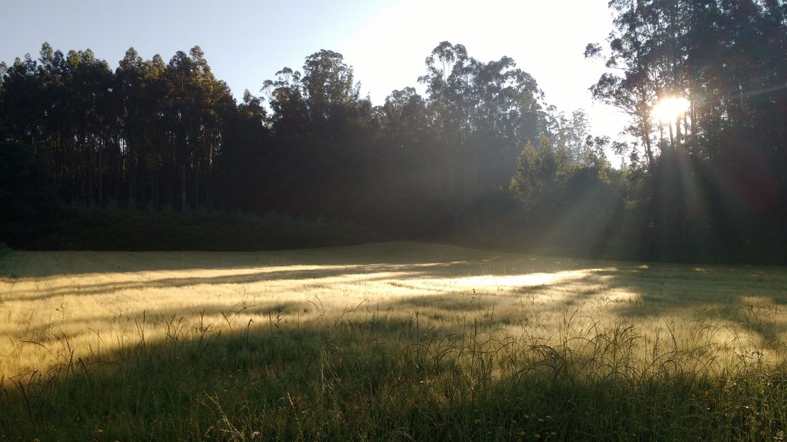 img_20180709_082714224