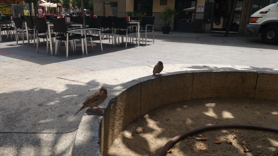 IMG_20180713_134052094